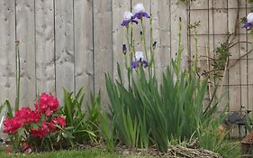 Il était une fois Brocéliande
